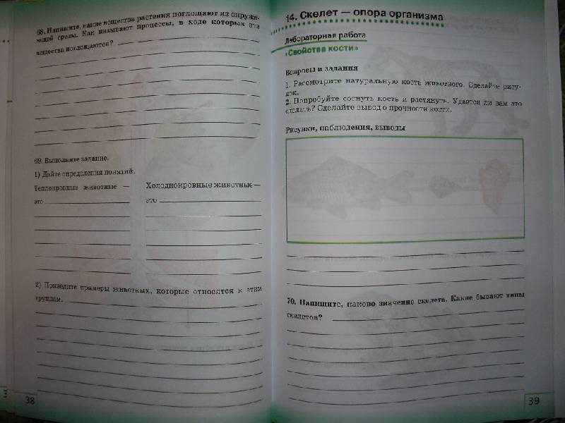 гдз по биологии 6 класс рабочая тетрадь князева